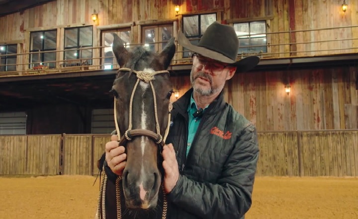 Chris Cox Horsemanship Net Worth