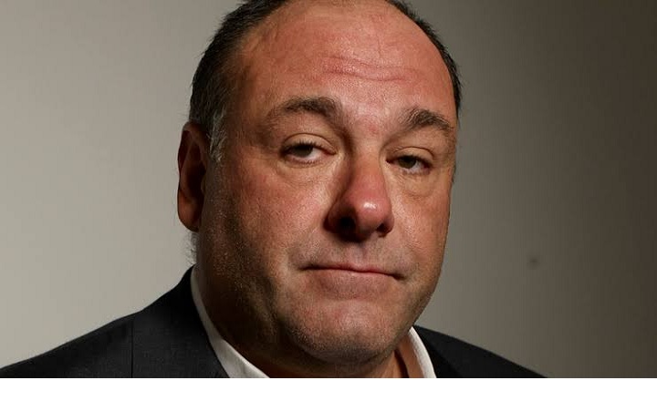James Gandolfini Career Earnings